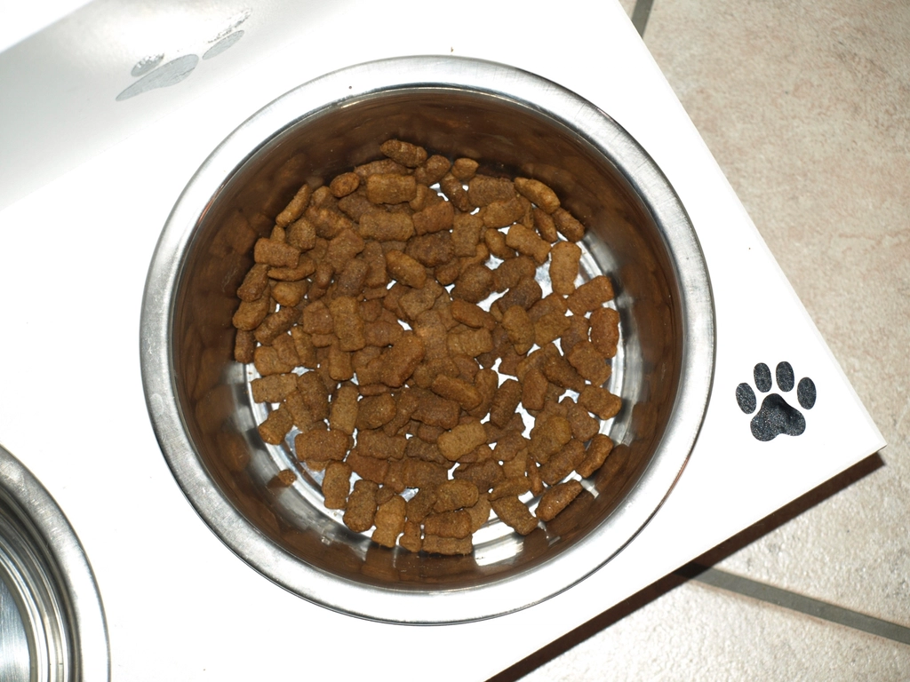 犬用の商品