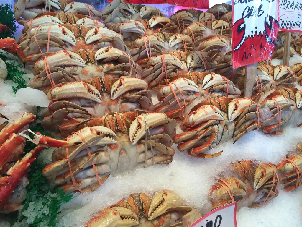 市場に並ぶ魚介